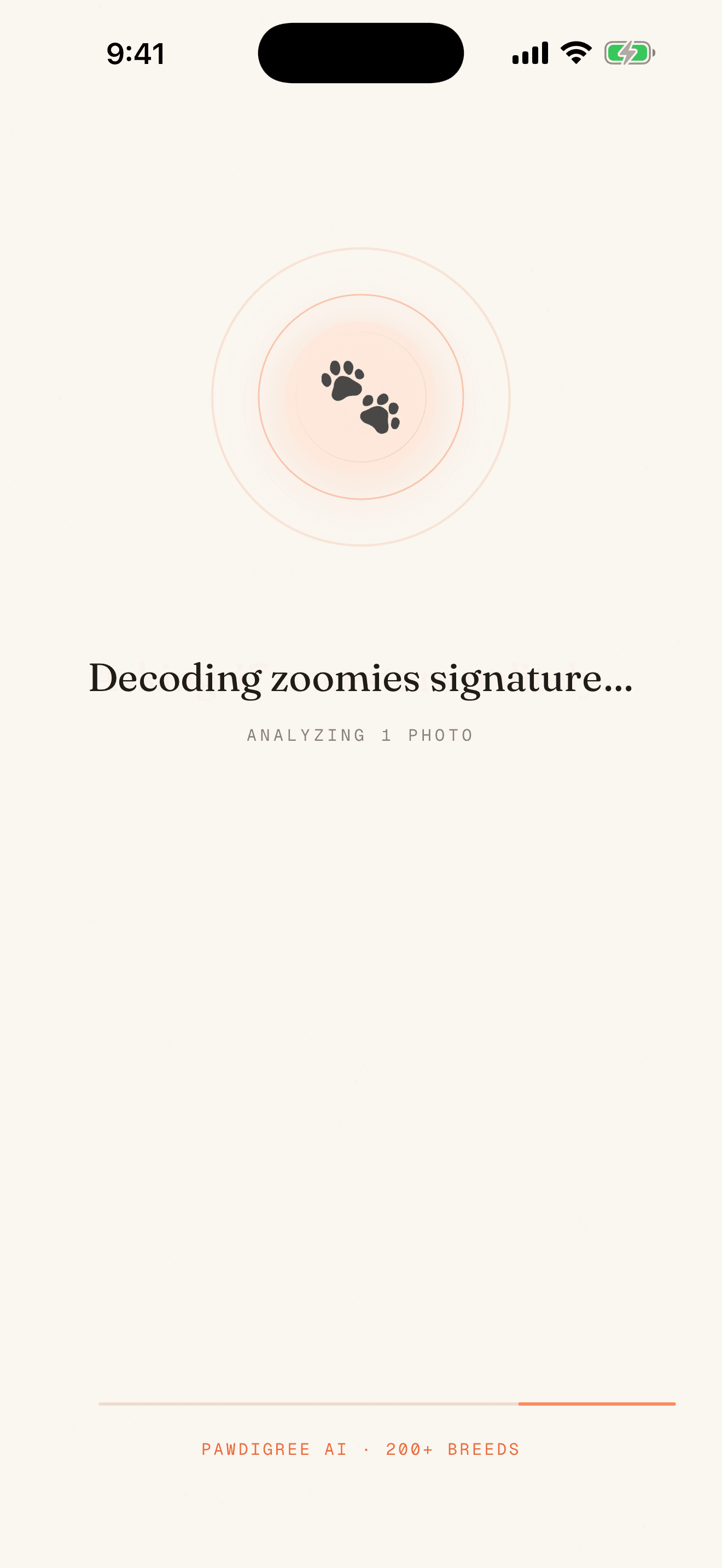 Pawdigree analyzing screen with playful loading copy